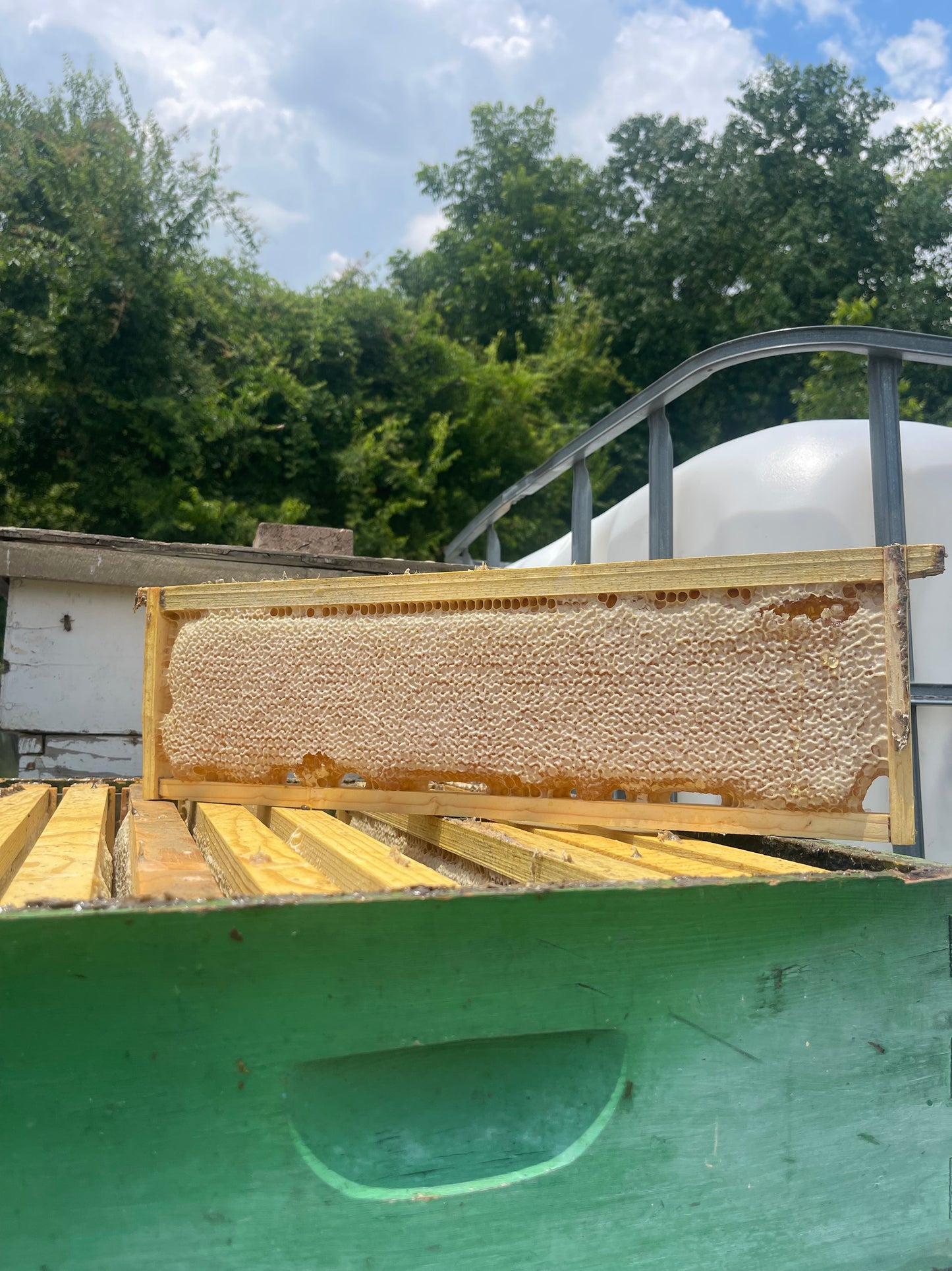 Dukes Full Frame Honeycomb